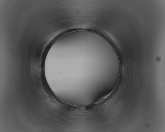 X0000092250532200710051300