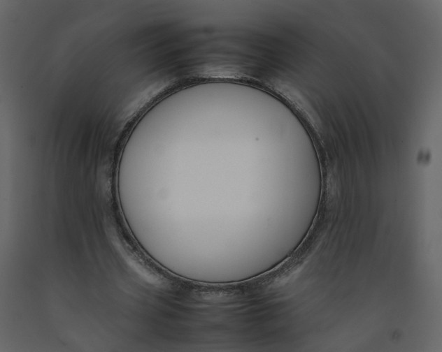 X0000092250533200710051300