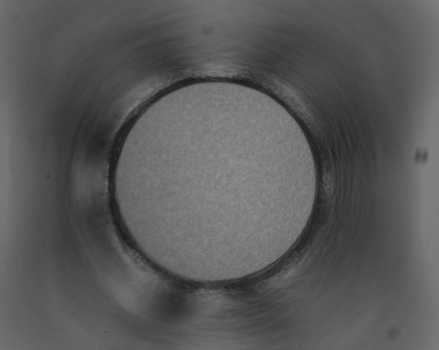 X0000092250534200710051300