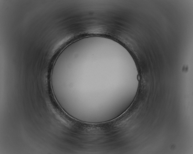 X0000092250535200710051301