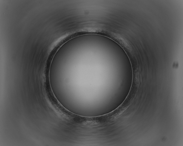 X0000092250536200710051301