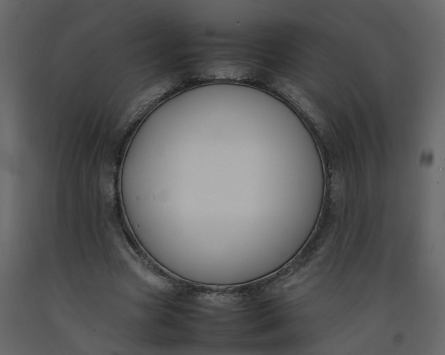 X0000092250537200710051301