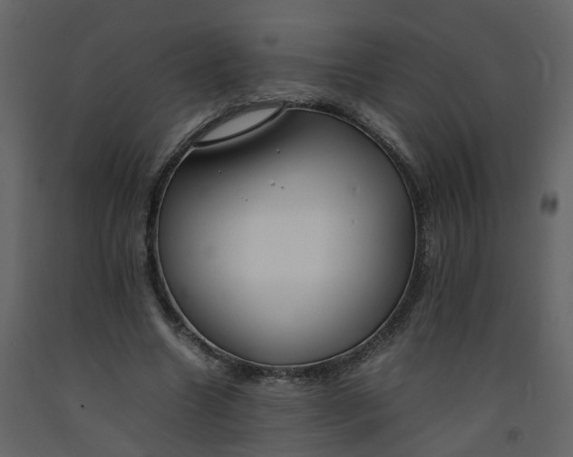 X0000092250538200710051301