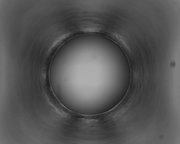 X0000092250539200710051301