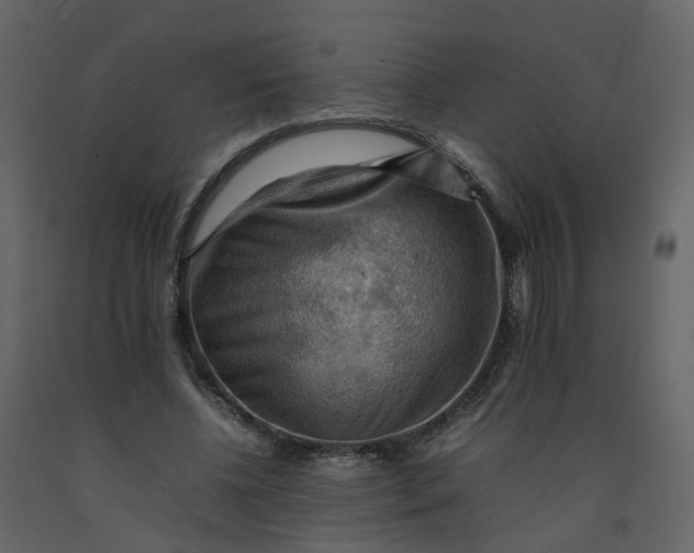 X0000092250540200710051301