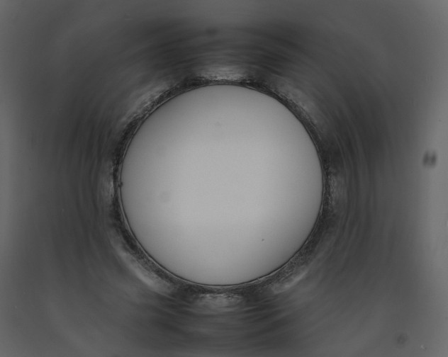 X0000092250541200710051301