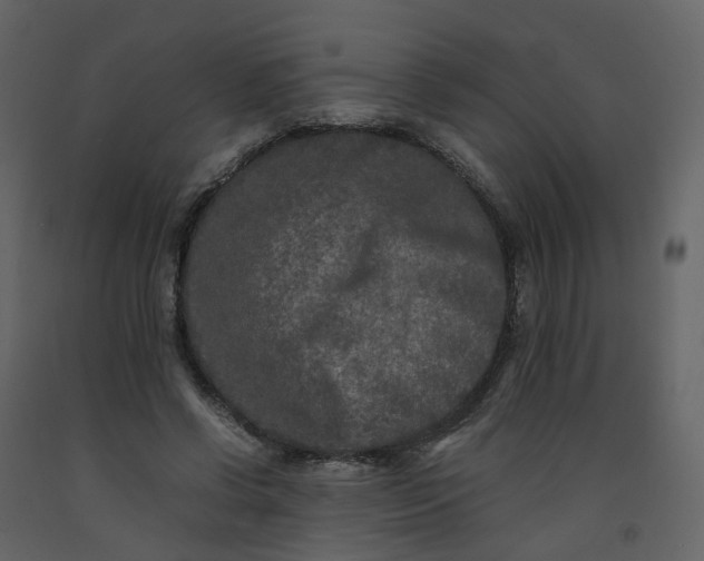 X0000092250542200710051301