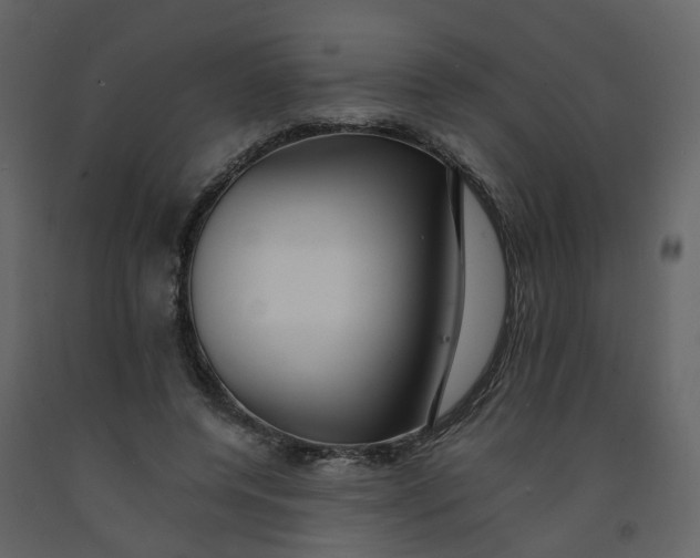 X0000092250544200710051301