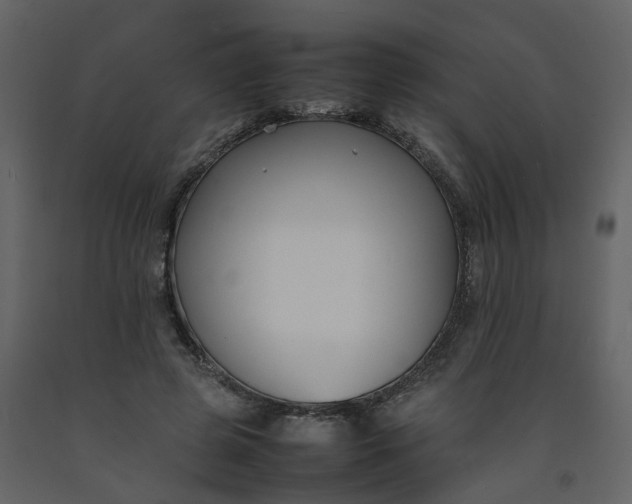 X0000092250545200710051301