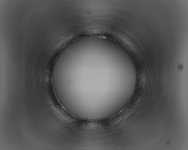 X0000092250546200710051301