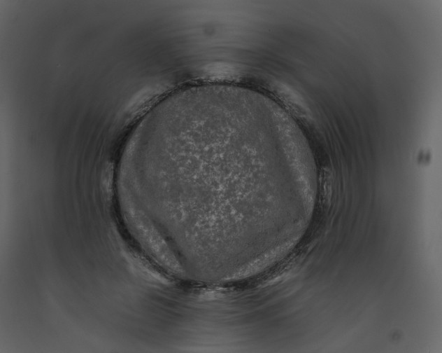 X0000092250550200710051301