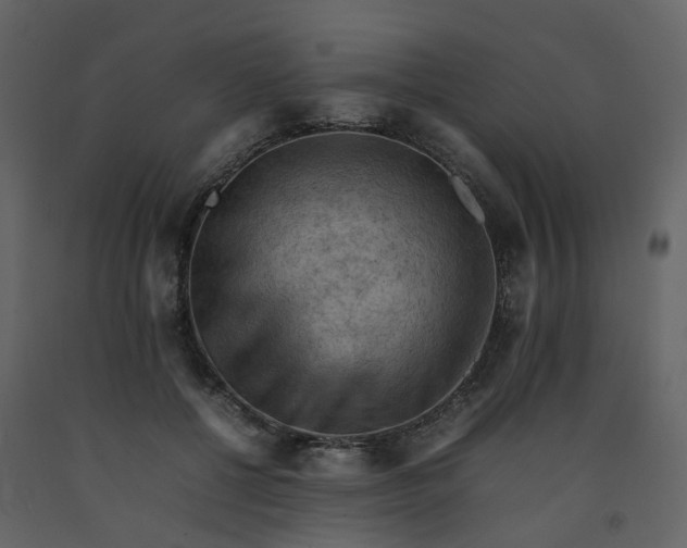 X0000092250552200710051301