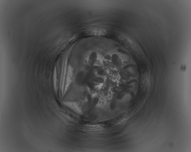 X0000092250553200710051301