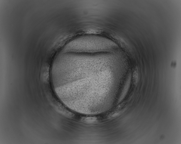 X0000092250554200710051301