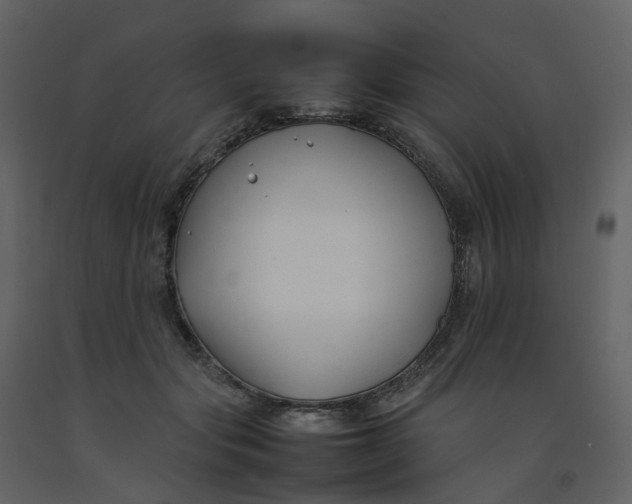 X0000092250557200710051301