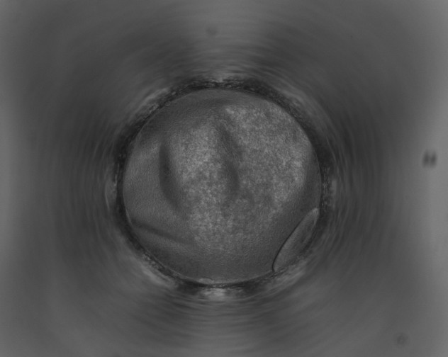 X0000092250558200710051301