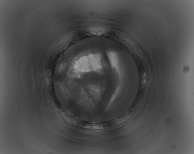 X0000092250559200710051301