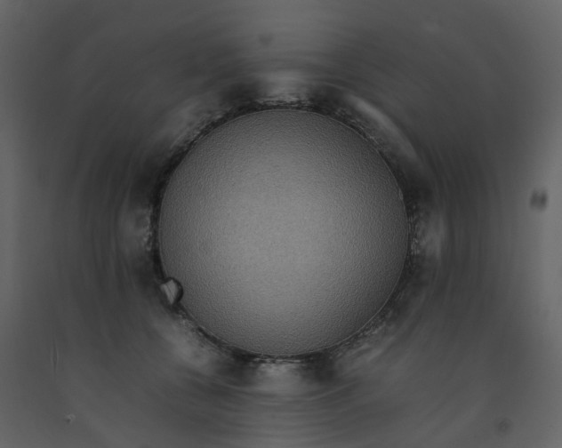 X0000092250560200710051301