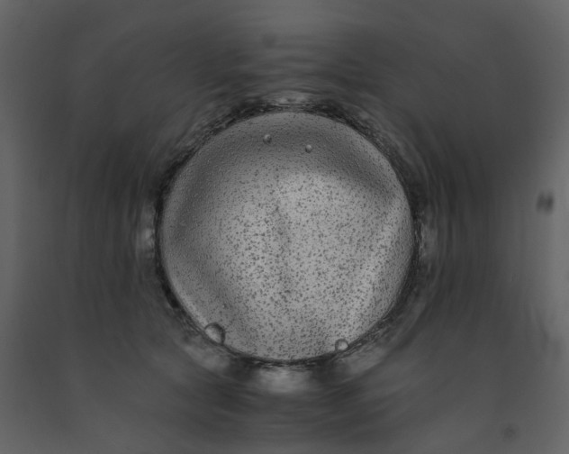 X0000092250561200710051301