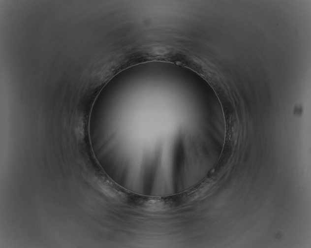 X0000092250562200710051301