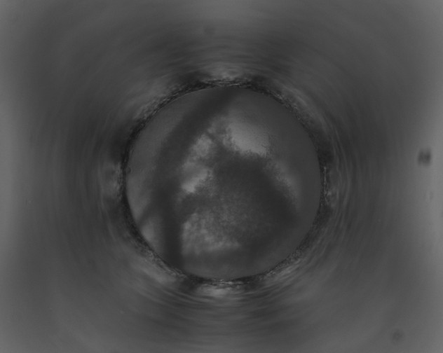 X0000092250563200710051301