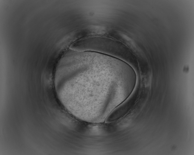 X0000092250564200710051301
