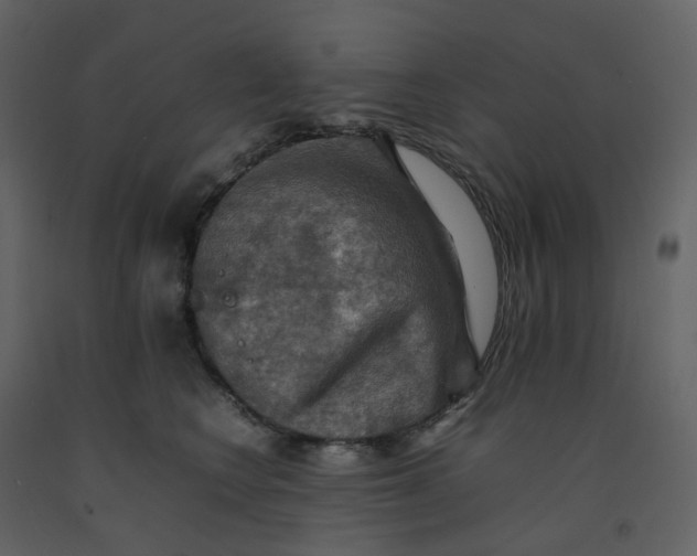 X0000092250566200710051301