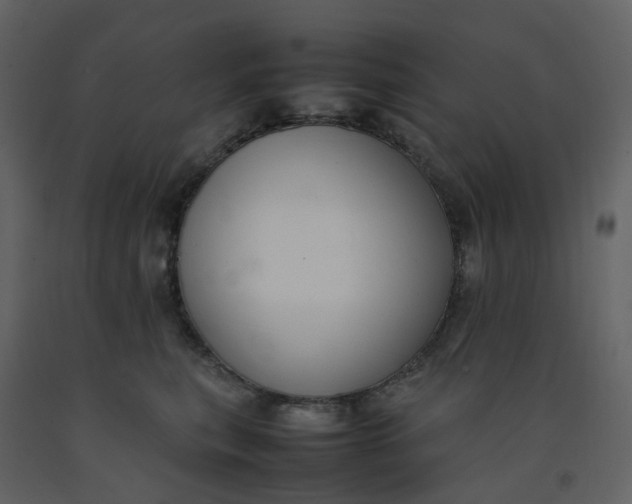 X0000092250567200710051301