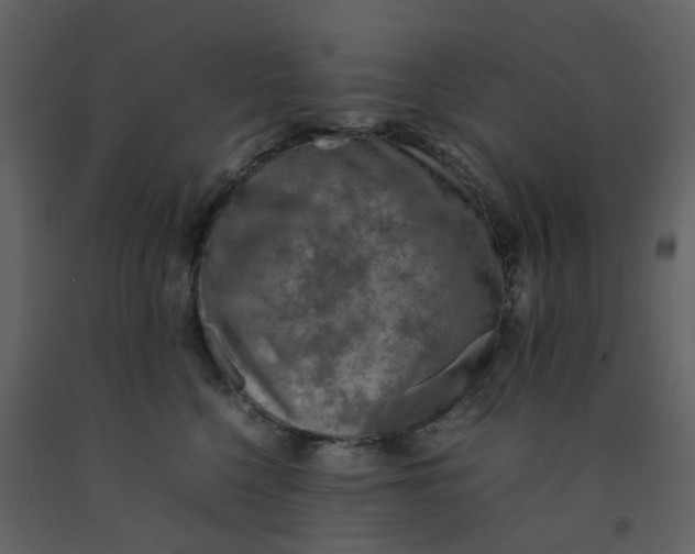 X0000092250568200710051301