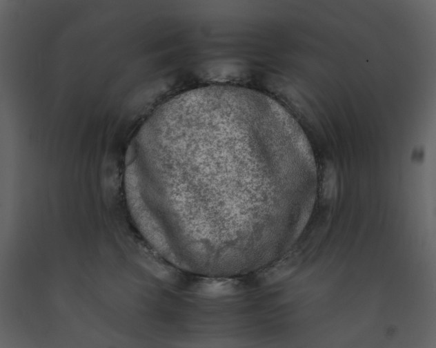 X0000092250569200710051301