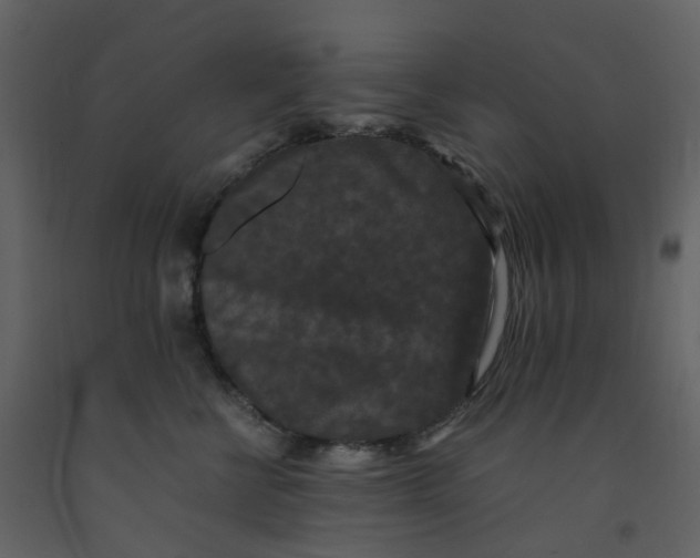 X0000092250570200710051301