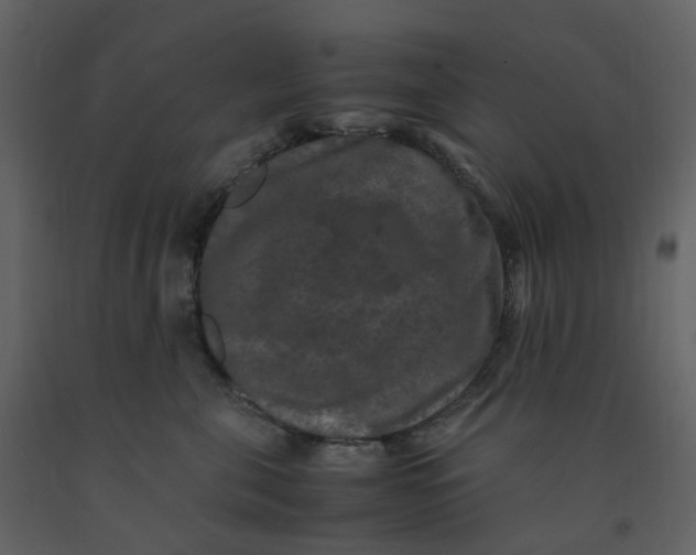 X0000092250571200710051301