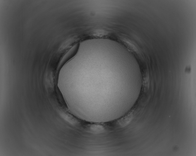 X0000092250572200710051301