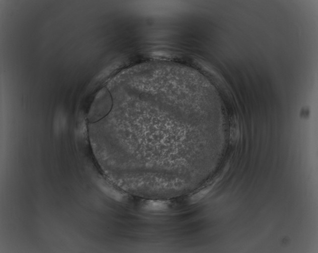 X0000092250573200710051301