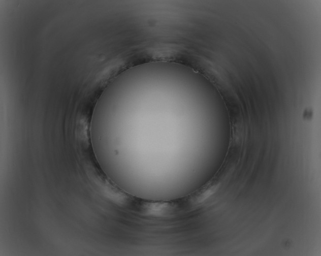 X0000092250575200710051301