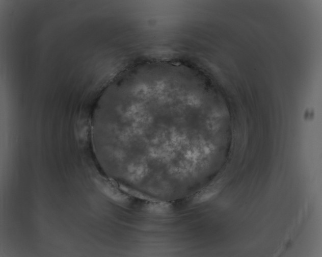 X0000092250576200710051301