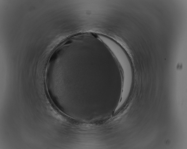 X0000092250577200710051300