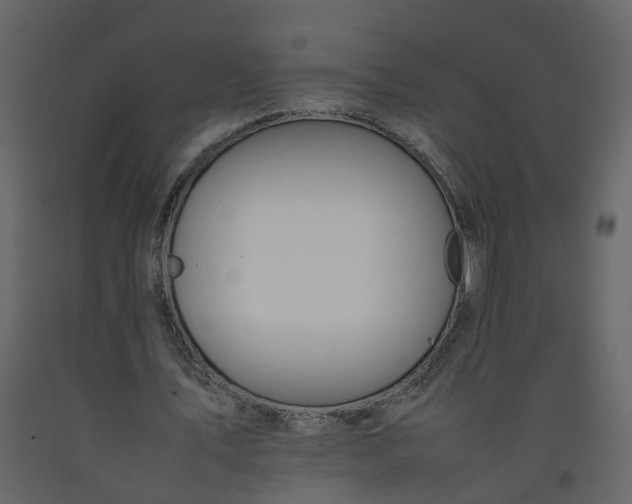 X0000092250579200710051300