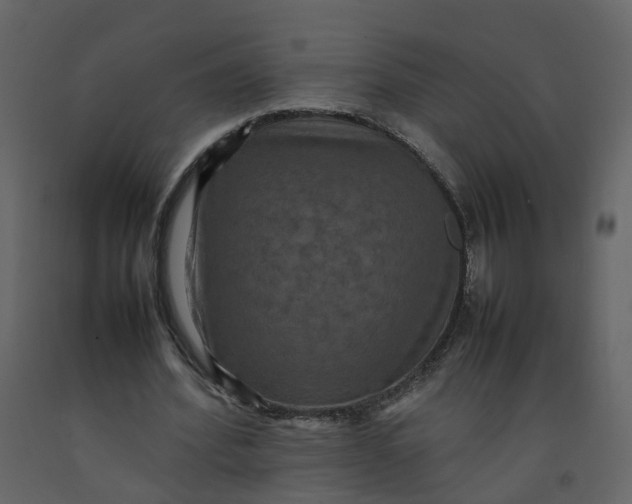 X0000092250580200710051300