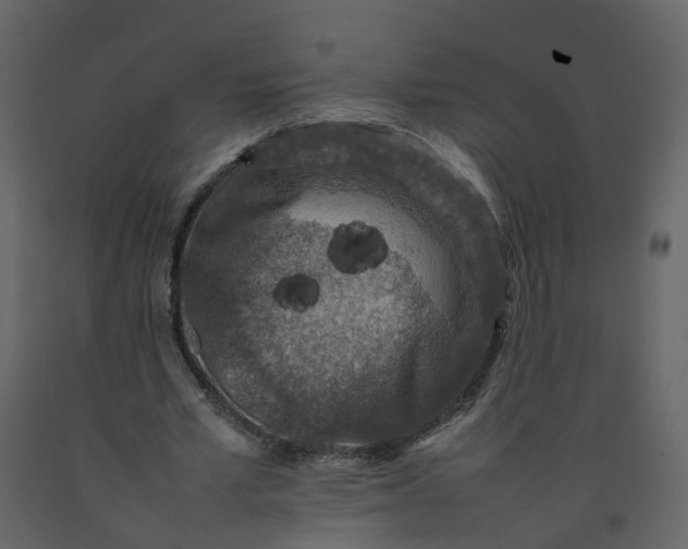 X0000092250581200710051300