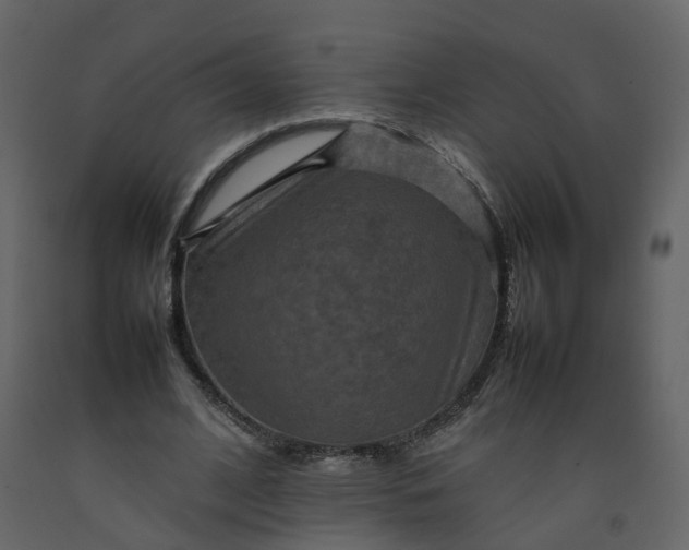 X0000092250584200710051300