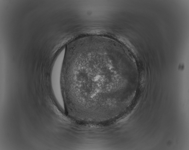 X0000092250585200710051300