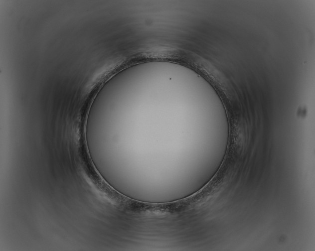 X0000092250586200710051300