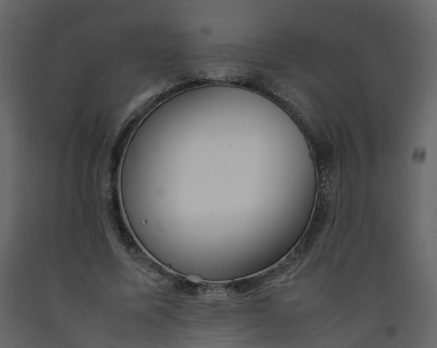 X0000092250587200710051300