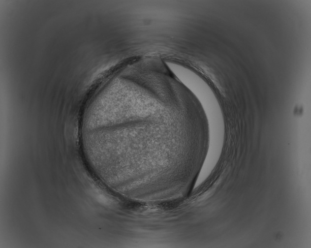 X0000092250589200710051300