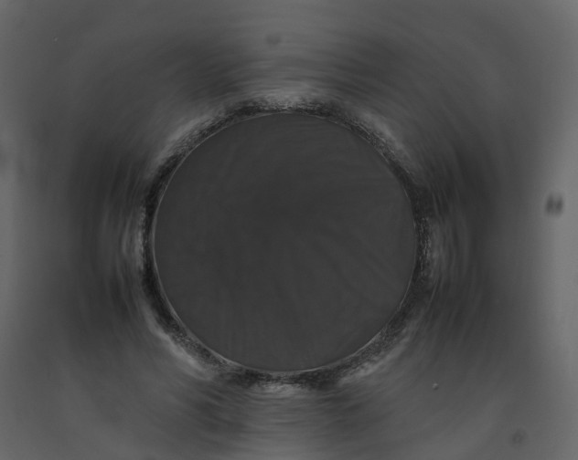 X0000092250590200710051300