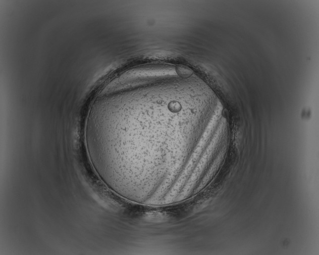 X0000092250591200710051300