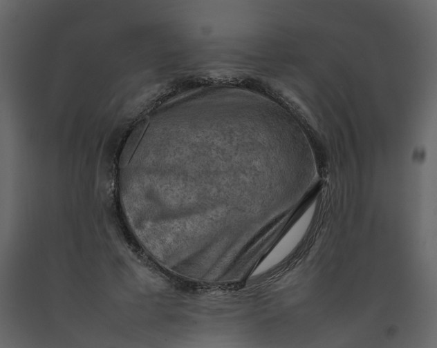 X0000092250593200710051300