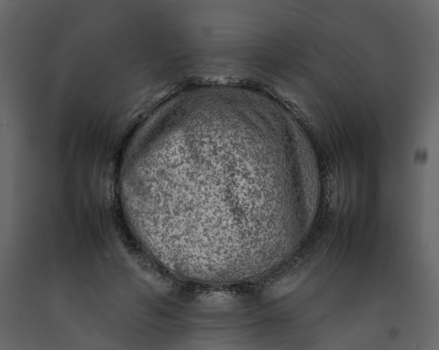 X0000092250594200710051300