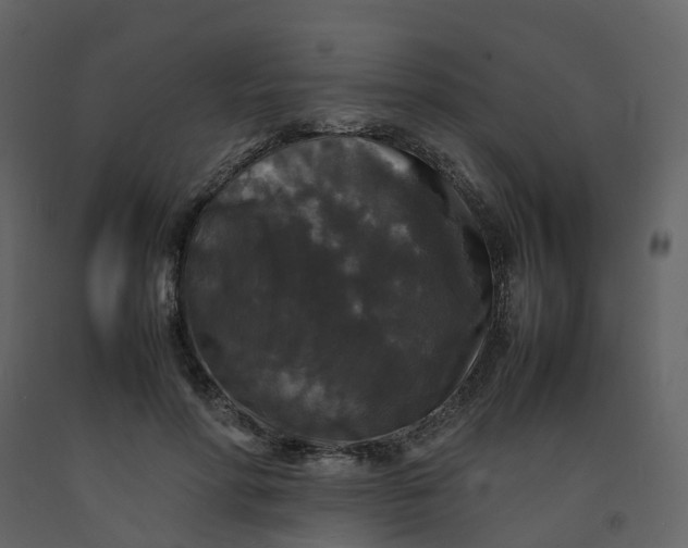 X0000092250598200710051300